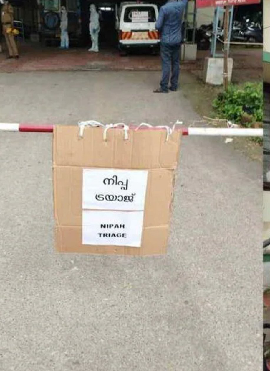 நிபா வைரஸ் பாதிப்பு