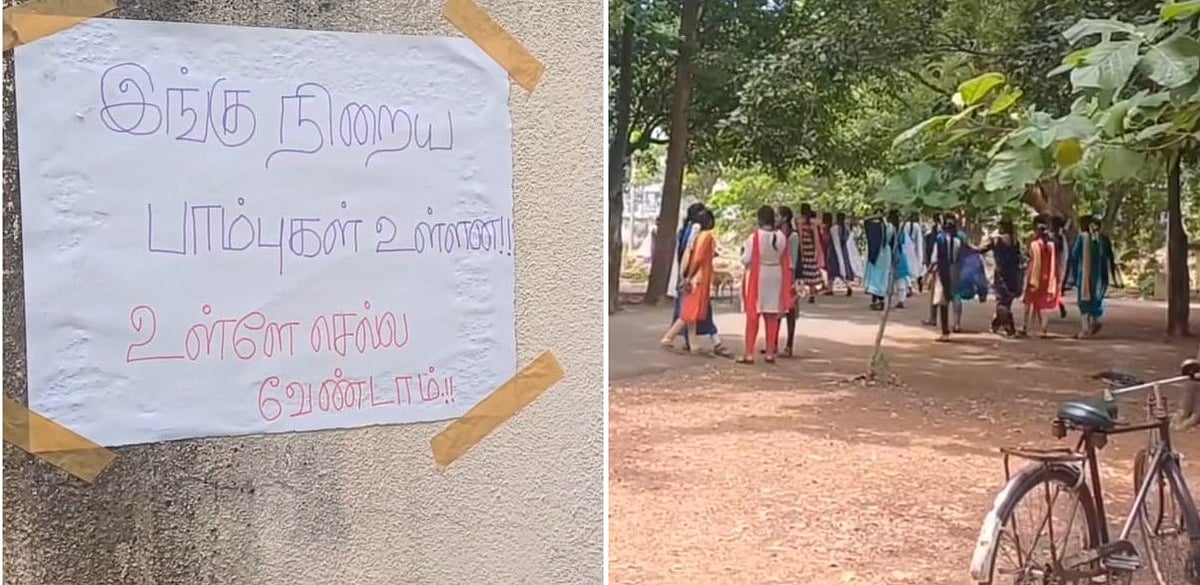 செய்யாறு அரசுக் கலைக்கல்லூரி