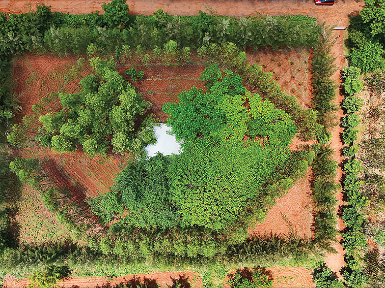 10 ஆண்டுகள், 8 வகையான
மரங்கள்... 1 ஏக்கரில்
ரூ.14,40,000... காகிதக்கூழ் சார்ந்த
பல்பயன் வேளாண்காடு!