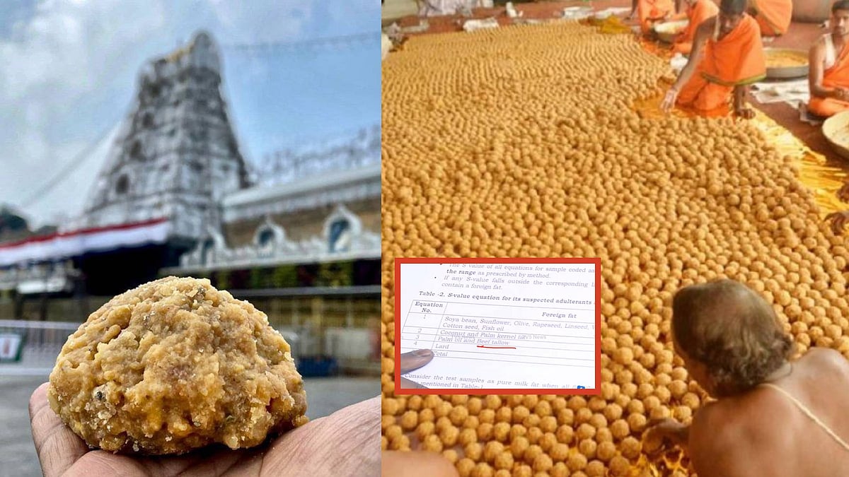 Tirupati Laddu: திருப்பதி லட்டு விவகாரம்; திண்டுக்கல் டெய்ரி நிறுவனத்தினர் உள்பட 4 பேர் கைது!