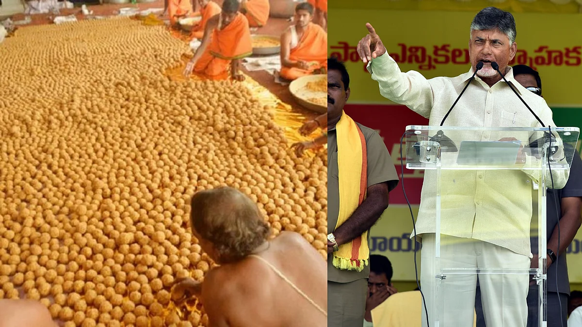 Tirupati Laddu - திருப்பதி லட்டு - சந்திரபாபு நாயுடு