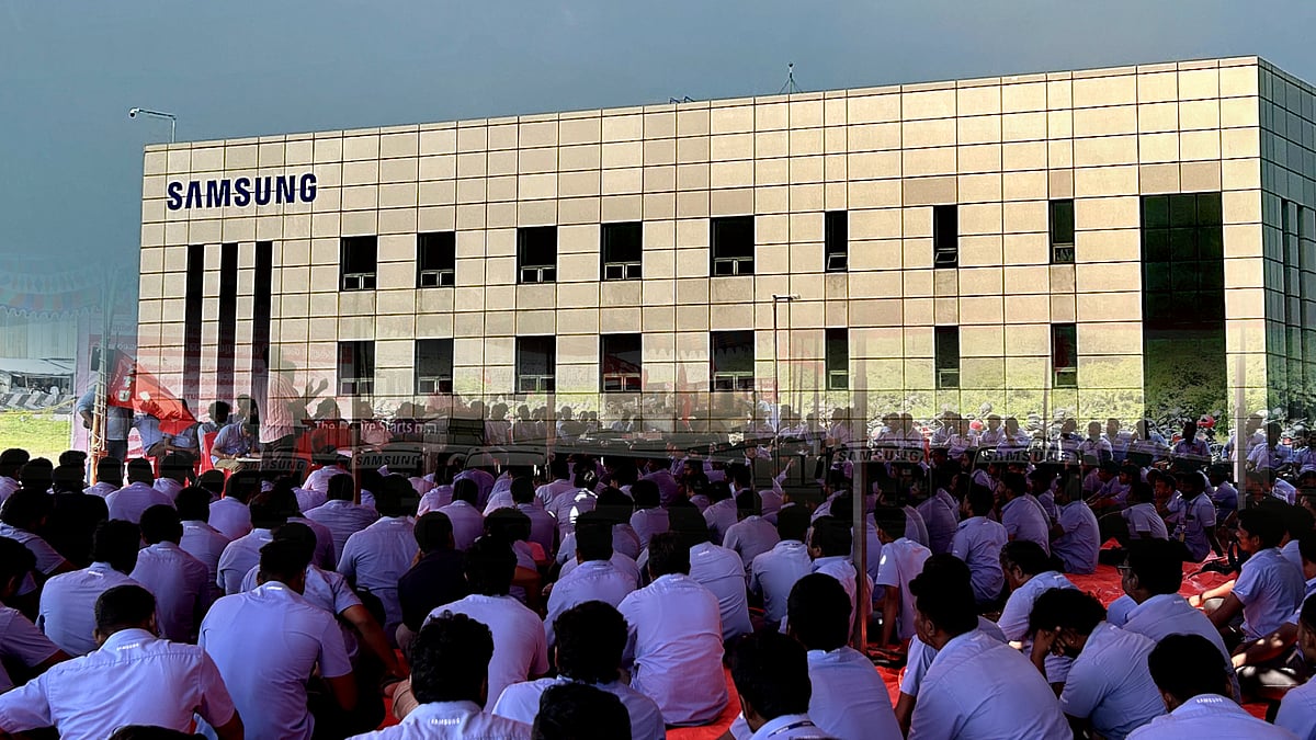 ``பழிவாங்குகிறார்கள்..