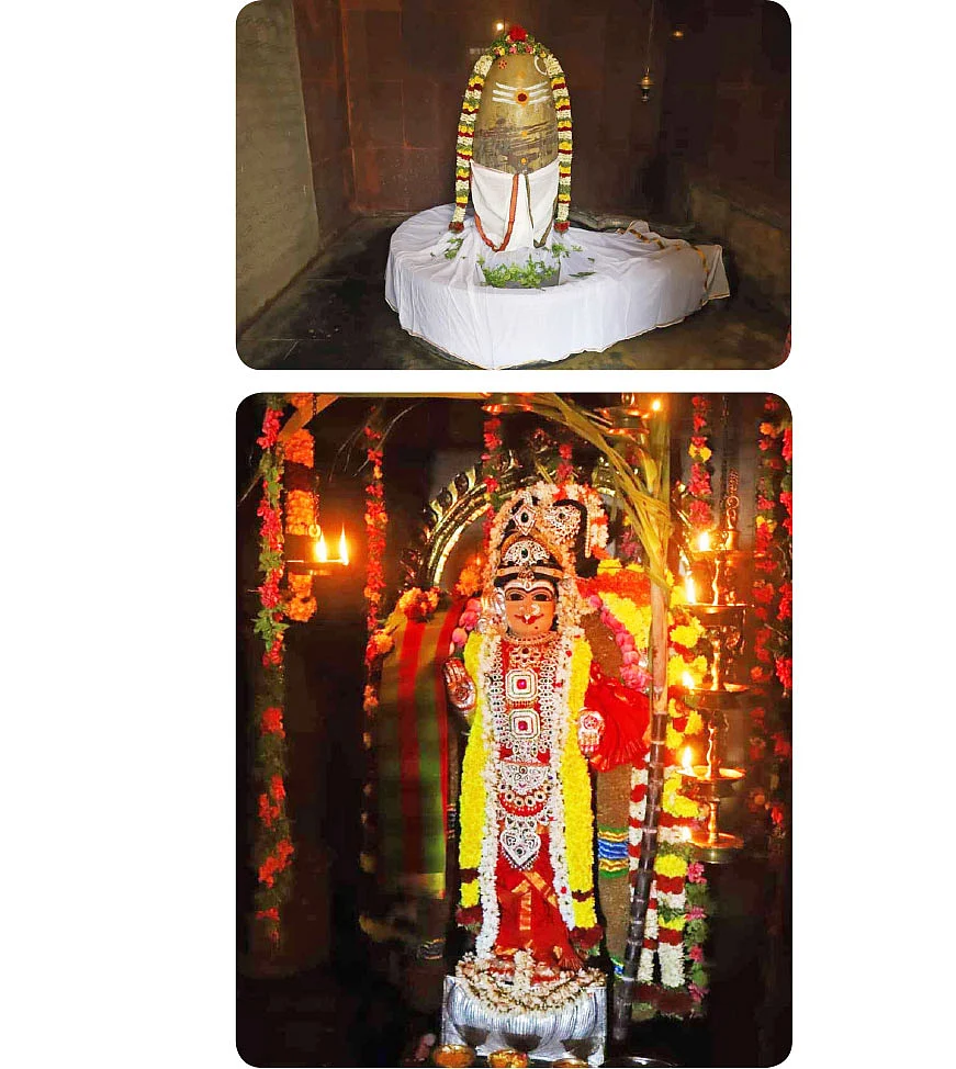 ஸ்ரீஅழகாம்பிகை உடனருள் ஸ்ரீசிவகுருநாதசுவாமி