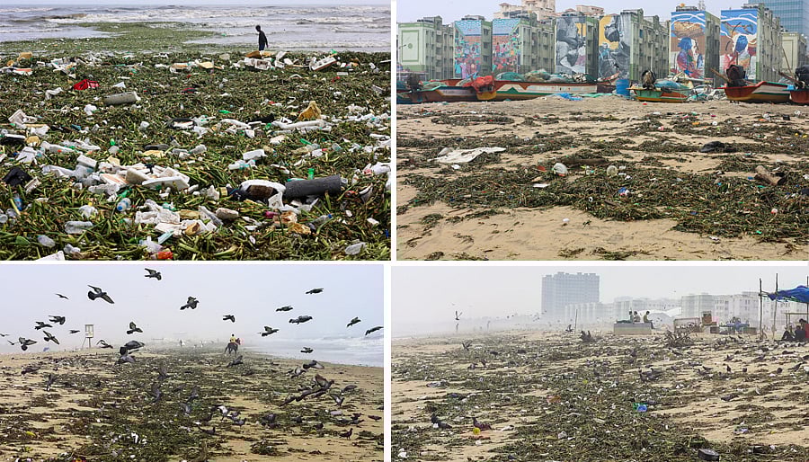 ஃபெஞ்சல் புயலில் அடித்து வரப்பட்ட செடிகள், குப்பைகள் - மெரினா, பட்டினம்பாக்கம் கடற்கரை காட்சி |Album