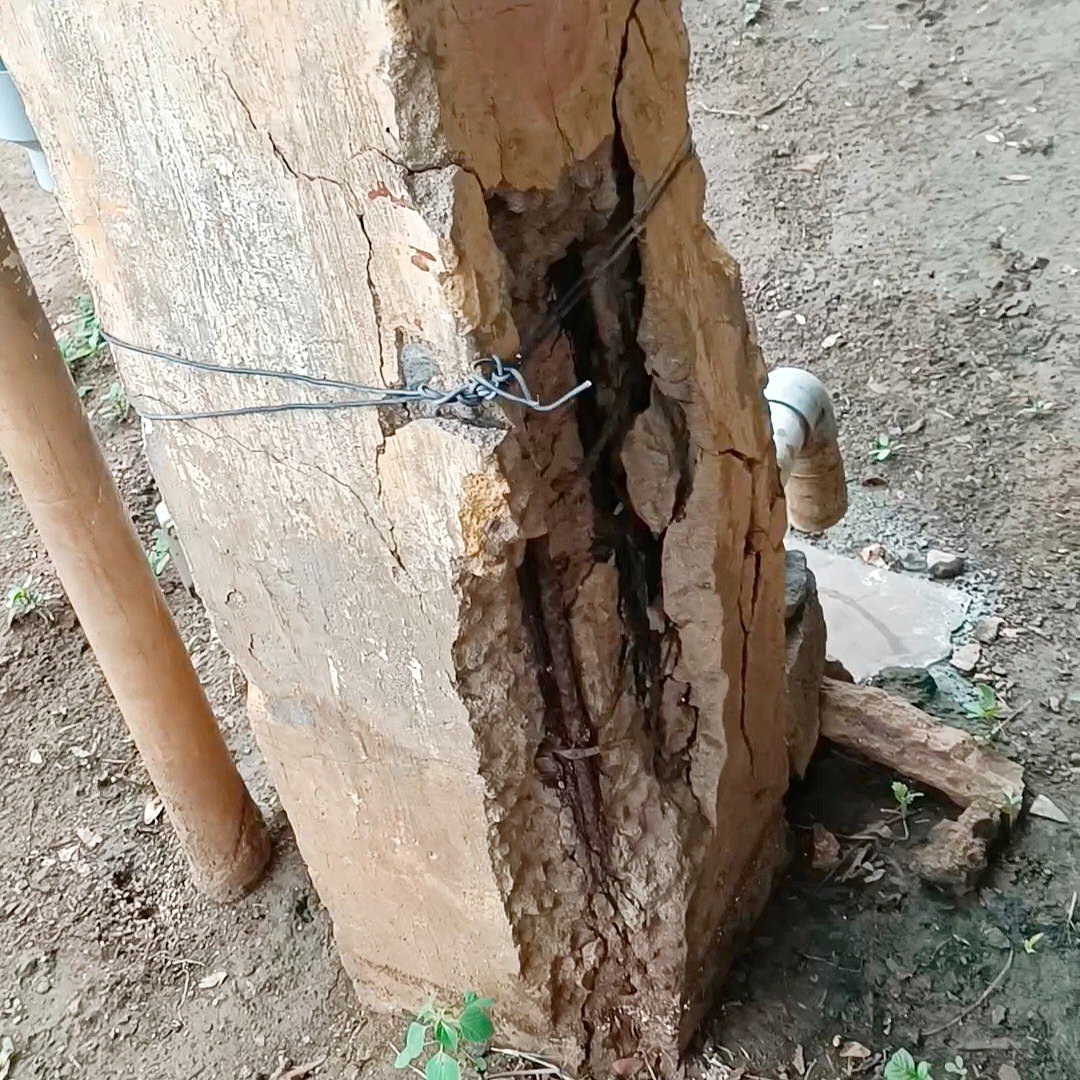 திருப்பத்தூர்: பழுதடைந்திருக்கும் நீர்த்தேக்க தொட்டி; அச்சத்தில் மக்கள்- நடவடிக்கை எடுக்கப்படுமா?  