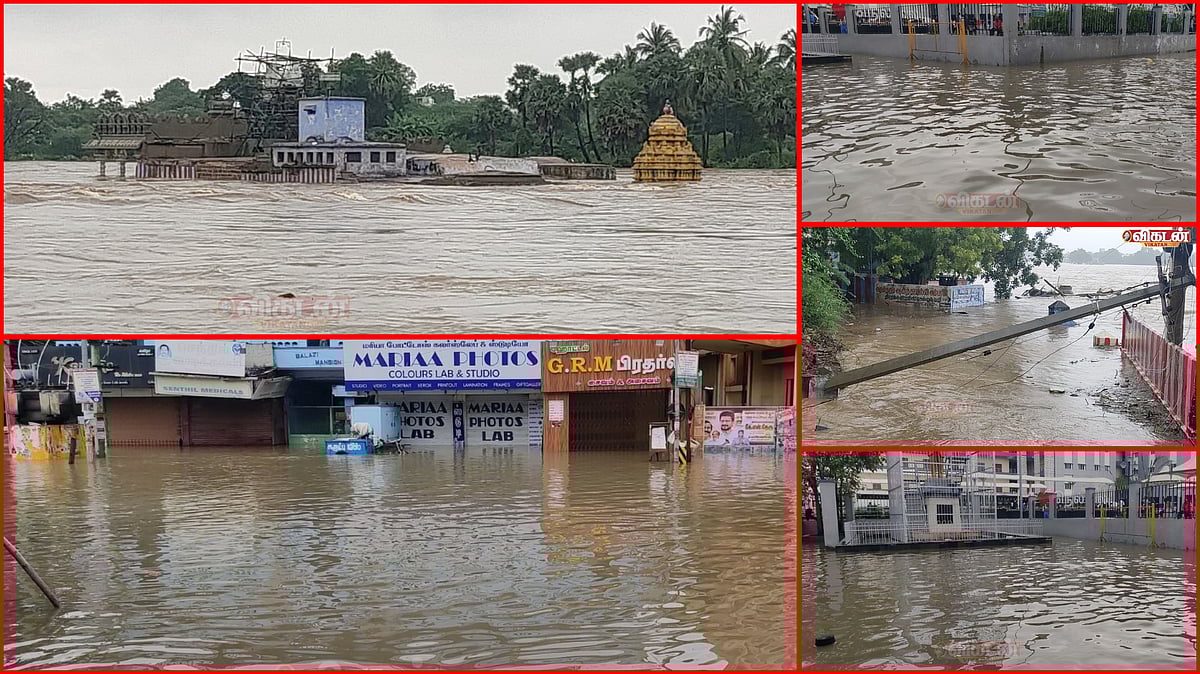 Heavy Rain: தென் மாவட்டங்களில் வெளுத்து வாங்கிய கனமழை... கரைபுரண்டோடும் வெள்ளம் | Video & Photos