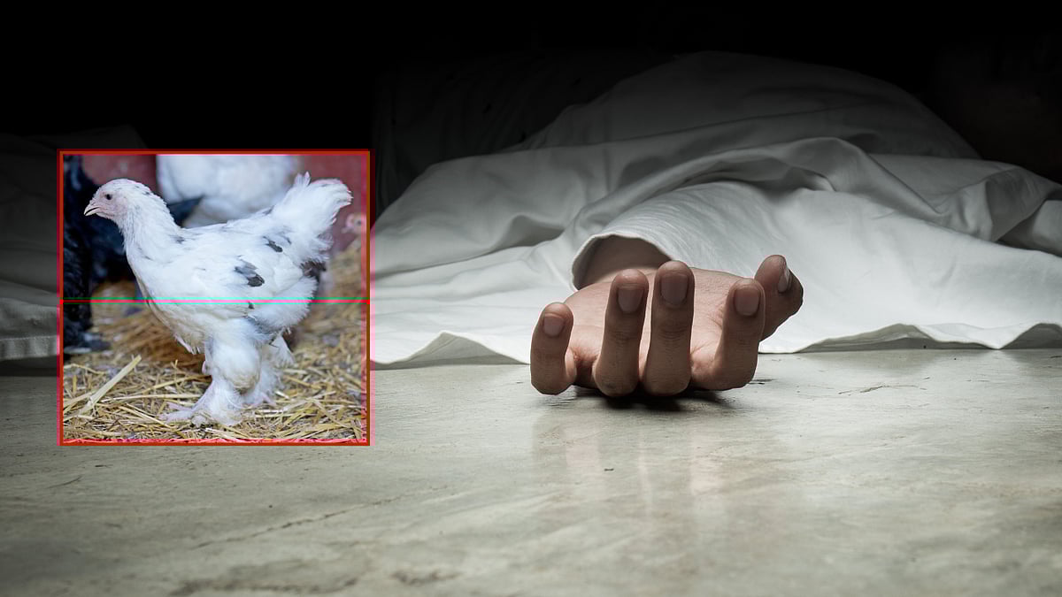 பிரேத பரிசோதனையில் உயிருடன் எடுக்கப்பட்ட கோழி; அதிர்ந்த மருத்துவர்கள்... அமானுஷ்ய சடங்கால் சோகம்!