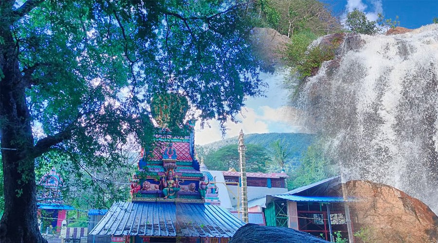 திருப்பத்தூர்: மலைகளின் மடியில் மலைக்க வைக்கும் மயில்பாறை முருகன் கோயில்! - Weekend Spot Visit