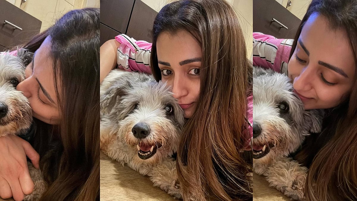 Trisha: `மகனை இழந்தேன்; மீண்டுவர கொஞ்ச காலம் தேவைப்படும்' - செல்லப்பிராணியின் இறப்பு குறித்து த்ரிஷா