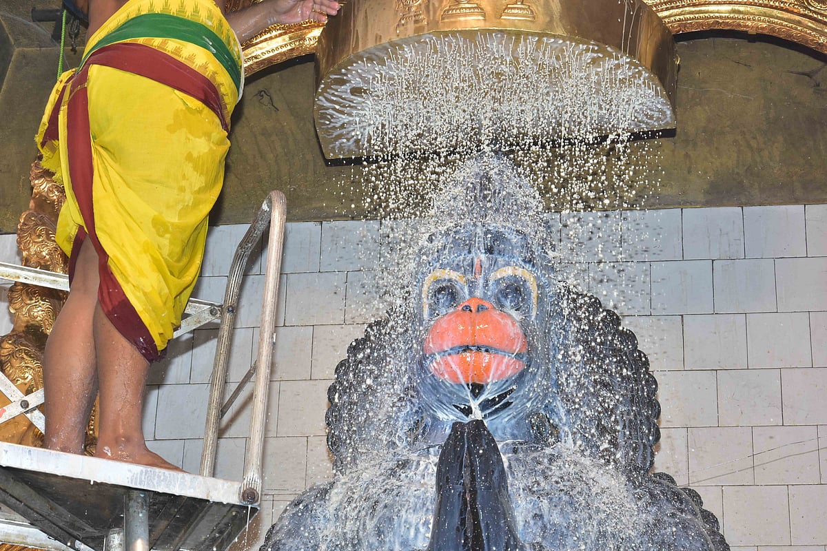 சின்னாளப்பட்டி அஞ்சலி வரத ஆஞ்சநேயருக்கு சிறப்பு அபிஷேக வழிபாடு... | Photo Album