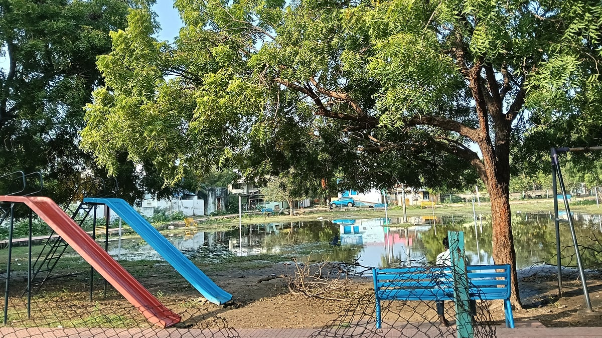 திருநெல்வேலி: அண்ணாநகர் பூங்காவில் நீர் தேக்கம்; நோய்த்தொற்று அச்சத்தில் மக்கள்!