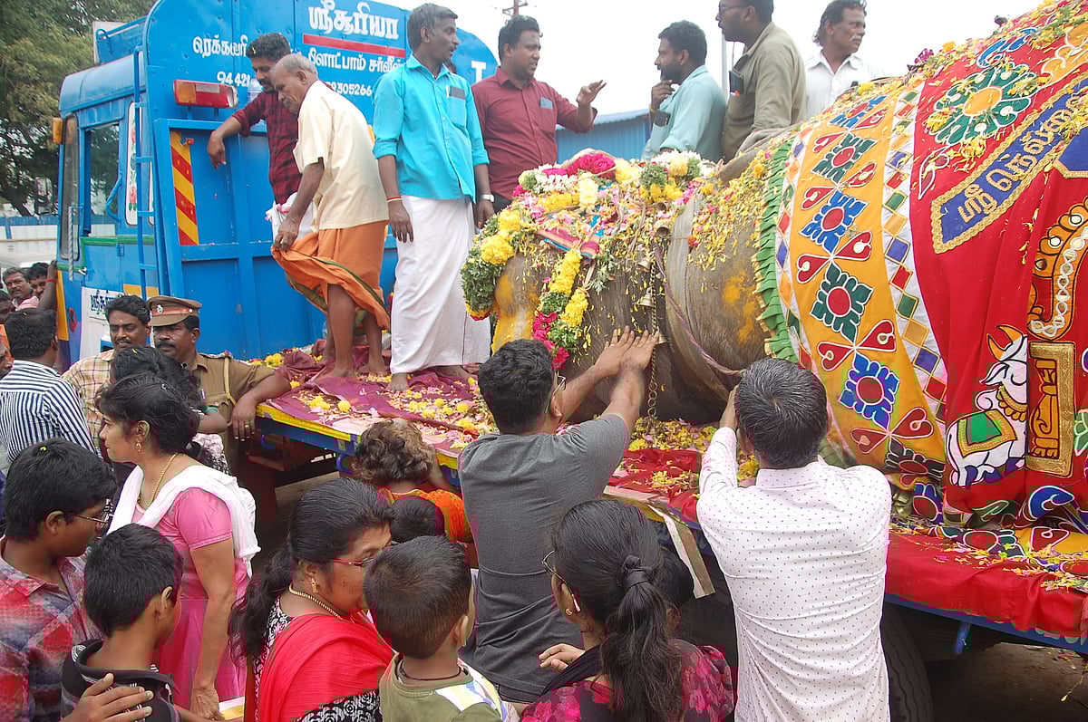 `தவிக்க விட்டுட்டுப் போயிட்டியே'- உடல்நலக் குறைவால் உயிரிழந்த நெல்லையப்பர் கோயில் யானை; கதறிய பாகன்!