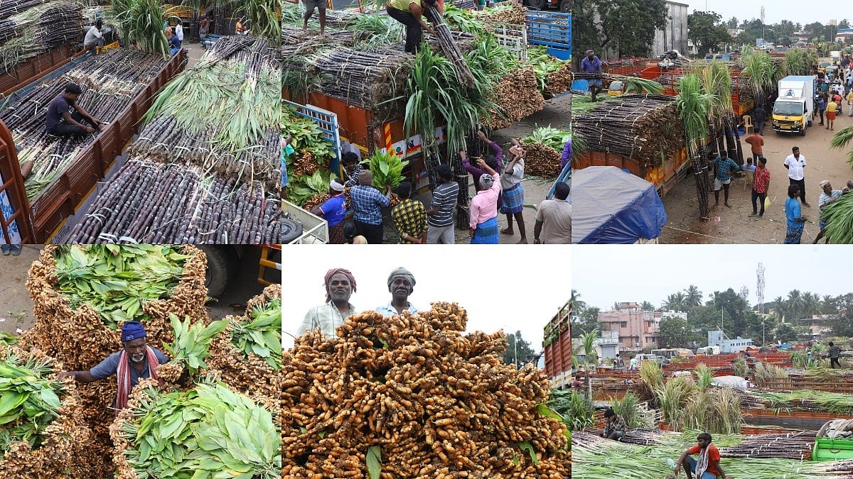 Pongal 2025: லாரி லாரியாக குவிந்த கரும்பு, மஞ்சள் கொத்துகள் - கோயம்பேடு மார்க்கெட் Spot visit !