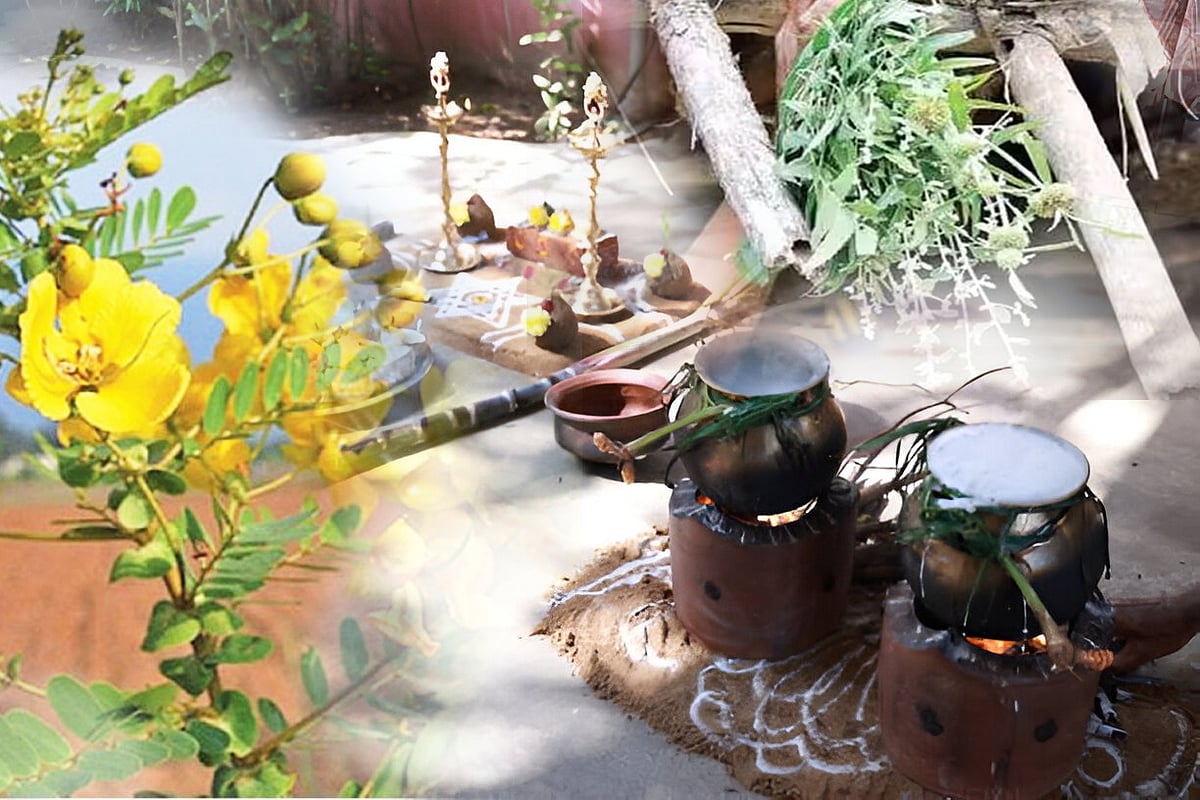 பொங்கல் : வேப்பிலை, பீளைப்பூ, ஆவாரம்பூ... காப்புடன் 'இதை'யும் சேர்த்து கட்டுங்க... ஏன்னா? 