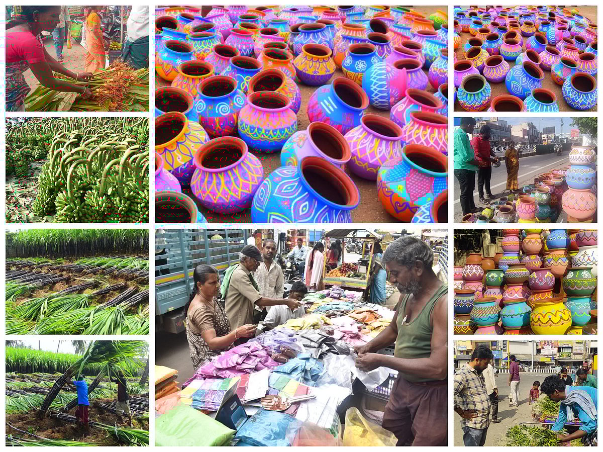 வண்ணவண்ண பானைகள்; கொத்துக்கொத்தாய் மஞ்சள், கரும்பு... ஈரோட்டில் களைகட்டிய பொங்கல் விற்பனை! - Album