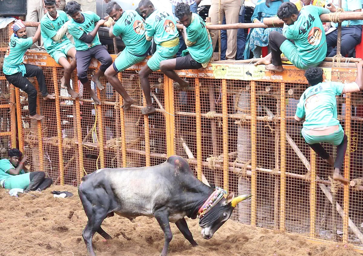 அவனியாபுரம் ஜல்லிக்கட்டு சுவாரசியங்கள்... டிராக்டர், கார், பைக் பரிசுகளை வென்ற இளைஞர்கள்..!