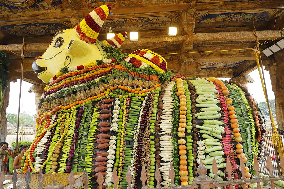 மஹரசங்கராந்தி : தஞ்சாவூர் பெரிய கோயில் நந்திக்கு 2,000 கிலோ காய், கனி, இனிப்புகளில் அலங்காரம்