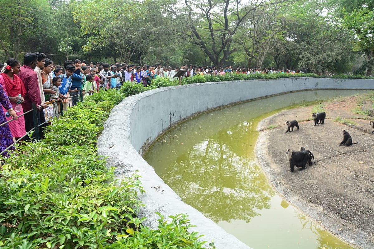 காணும் பொங்கலை கொண்டாட வண்டலூர் பூங்காவில் குவிந்த மக்கள் | Photo Album