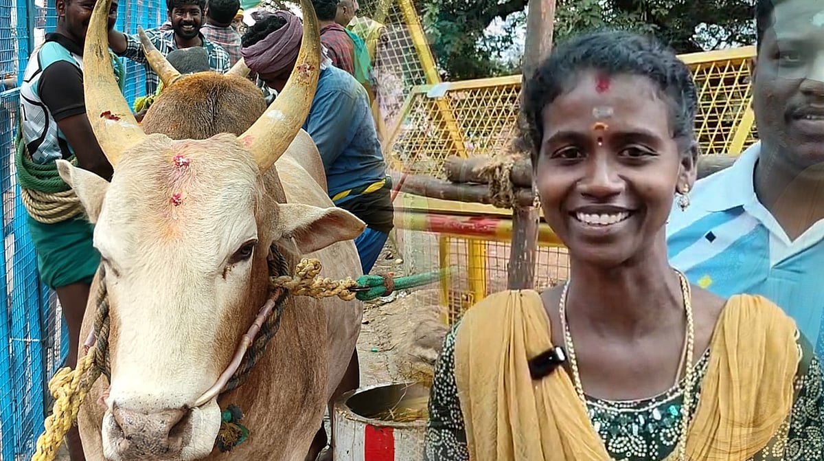 `இவன் ஜெயிச்சு தந்த தங்க காசத்தான் தாலில போட்டிருக்கேன்' - அலங்காநல்லூர் ஜல்லிக்கட்டில் சத்தியபிரியா