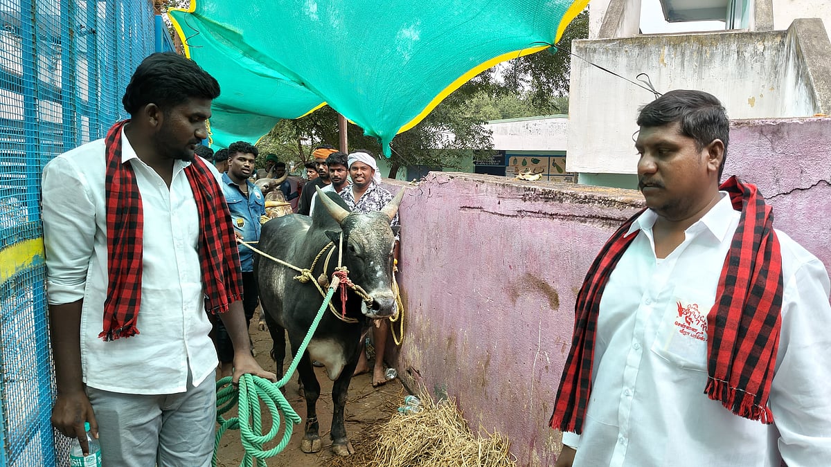 `` 'பிளாக் பாண்டி' ஜெய்ச்சிடுவான்!