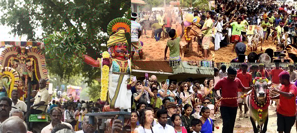 பொங்கல் விழா : ஆரோவில்லில் நடைபெற்ற மஞ்சுவிரட்டு - களைகட்டிய கொண்டாட்டம்