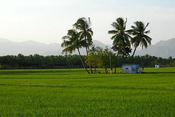 `சுத்தமான காற்றுடைய நகரங்கள்'- முதலிடம் பிடித்த தமிழக மாவட்டம் எது தெரியுமா?  