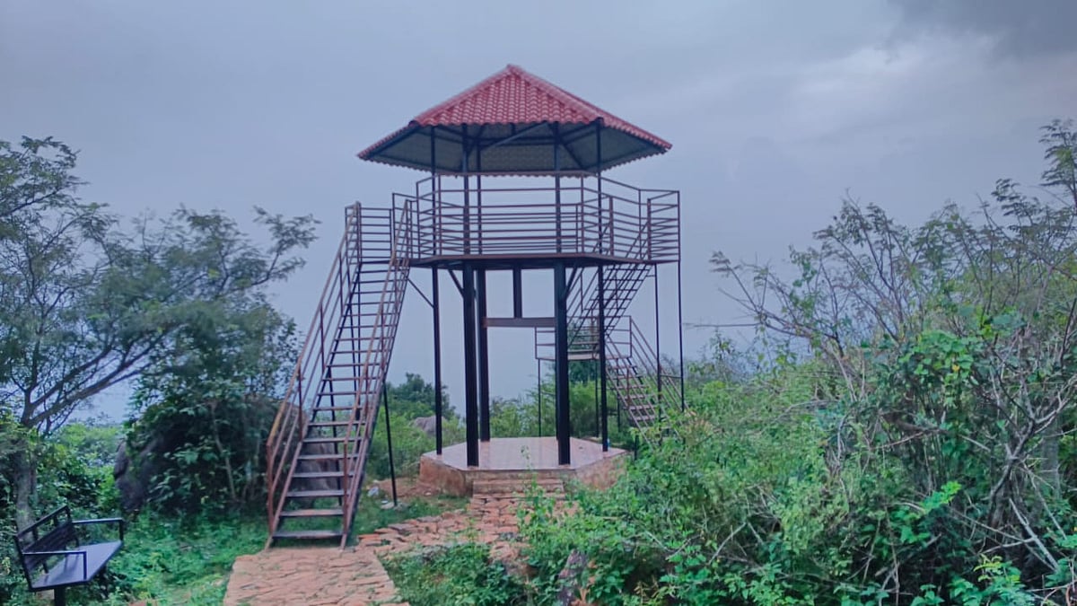 ஏலகிரி: `முக்கியமான சுற்றுலாத்தலத்தில் கழிவறை வசதிக்கூட இல்லை!' - சுற்றுலாப் பயணிகள் அதிருப்தி