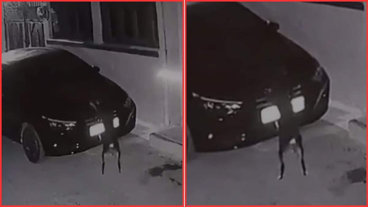 `என்னை எப்படி இடிக்கலாம்?'-  ம.பி-யில் தன்னை இடித்து தள்ளிய காரை பழிவாங்கிய நாய்.. வைரலாகும் வீடியோ!