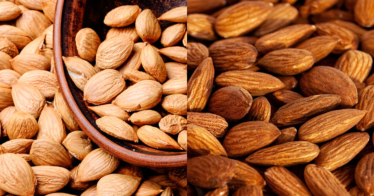 Fake Almonds Fake vs Real: போலி பாதாம்களைக் கண்டறிவது எப்படி? | how to identify fake ...