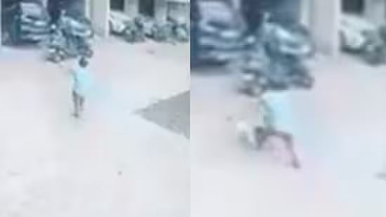 13-வது மாடியிலிருந்து தவறி விழுந்த 2 மாதக் குழந்தை; கண நேரத்தில் காப்பாற்றிய `ஹீரோ' இளைஞர்!