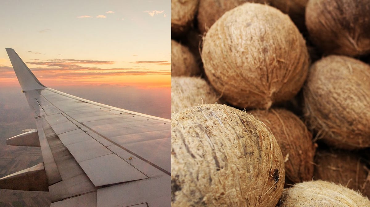 விமானத்தில் ஏன் தேங்காய் எடுத்துச் செல்ல தடை தெரியுமா? -  அறிவியல் சொல்லும் காரணம் இதுதான்!