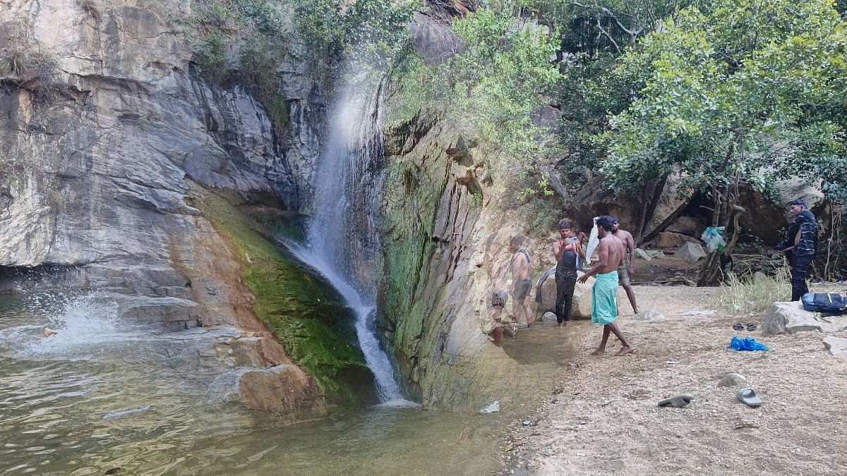 Weekend Visit: அடர்ந்த காட்டுக்குள் ஓர் அற்புதம்; திம்மகெடா‌ நீர்வீழ்ச்சி |Photo Album