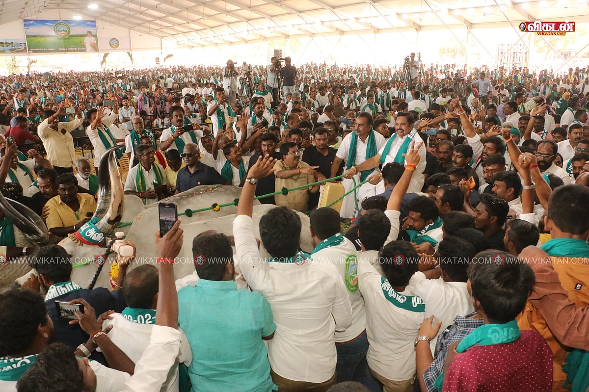 மாட்டு வண்டியில் வந்த எடப்பாடி; ஆப்சன்ட் ஆன செங்கோட்டையன் - அவிநாசி அத்திக்கடவு  விழா துளிகள்