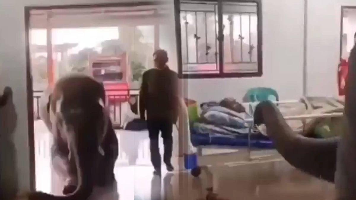 Elephant: தீவிர சிகிச்சையில் பாகன்; தேடி வந்த யானையின் பாசப் போராட்டம்; வைரலாகும் வீடியோ..!