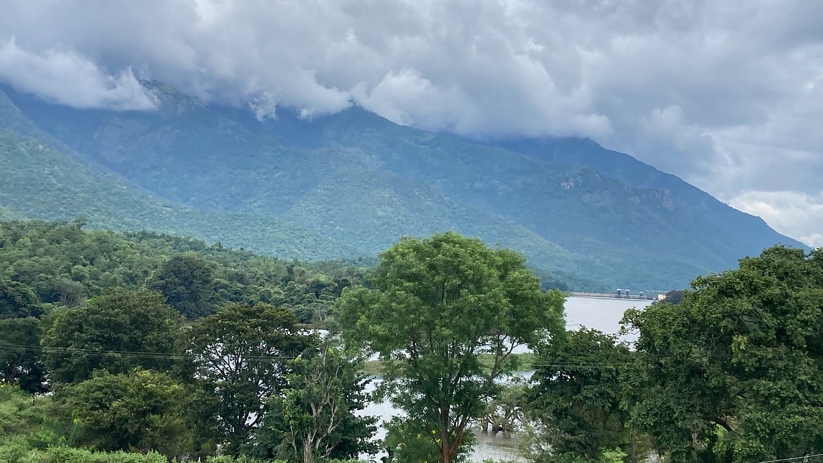 கோவை: அட்டகாச பட்ஜெட் சுற்றுலா - இயற்கையுடன் வீக்எண்டை செலவிட ஷ்பெஷல் ஸ்பாட்; ஆனால்..!