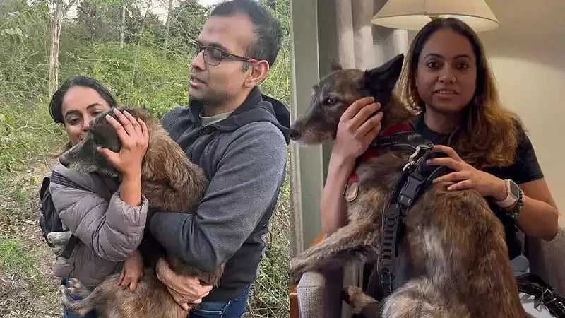 Agra: ரூ.50,000 சன்மானம், டிரோன், 3 மாத தேடல்... தொலைந்த நாயைக் கண்டுபிடித்த தம்பதி; என்ன நடந்தது?
