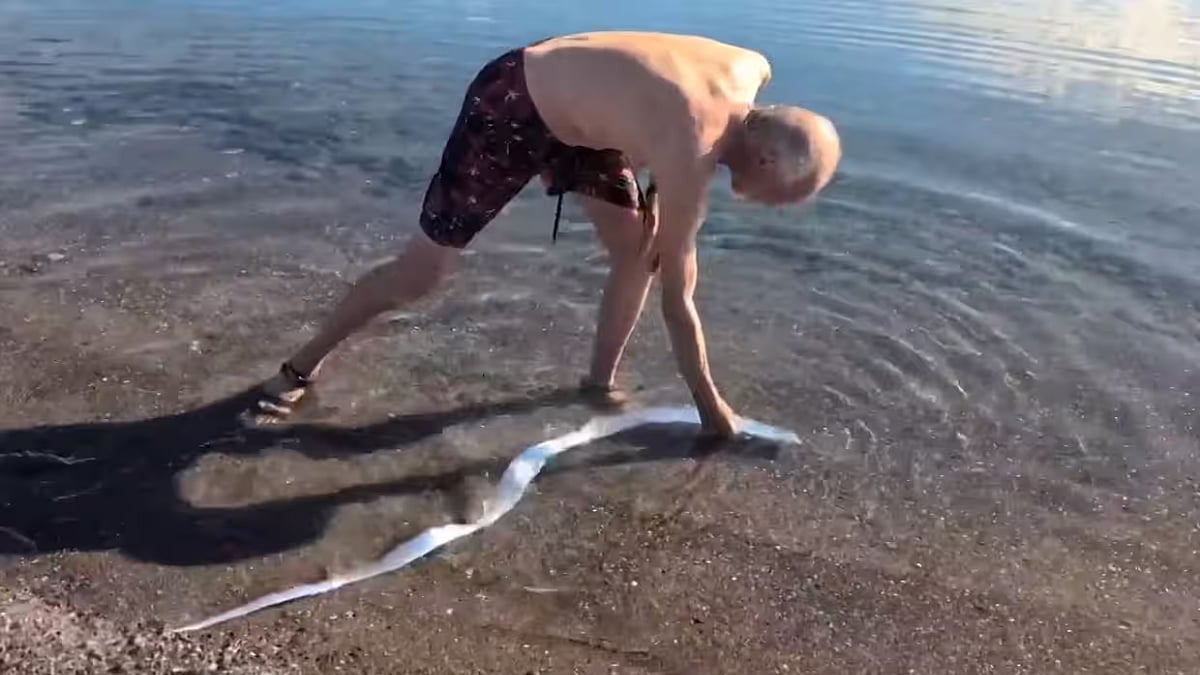 Doomsday Fish: மேற்பரப்புக்கு வரும் ஆழ்கடல் மீன்கள் - மக்கள் அஞ்சுவது ஏன்?