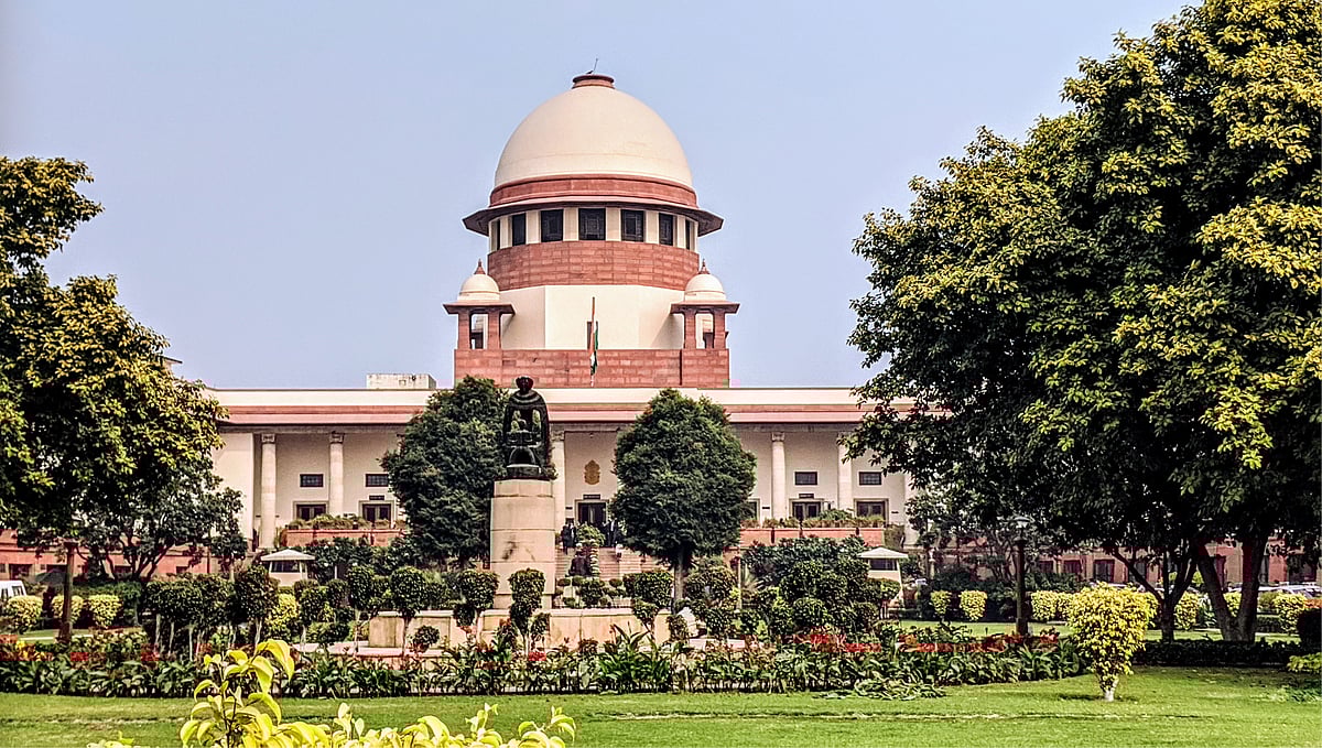 `தெரு நாய்களை பிடித்து கருத்தடை செய்து மீண்டும் வீட்டுவிடுங்கள்'- சுப்ரீம் கோர்ட் புதிய உத்தரவு!