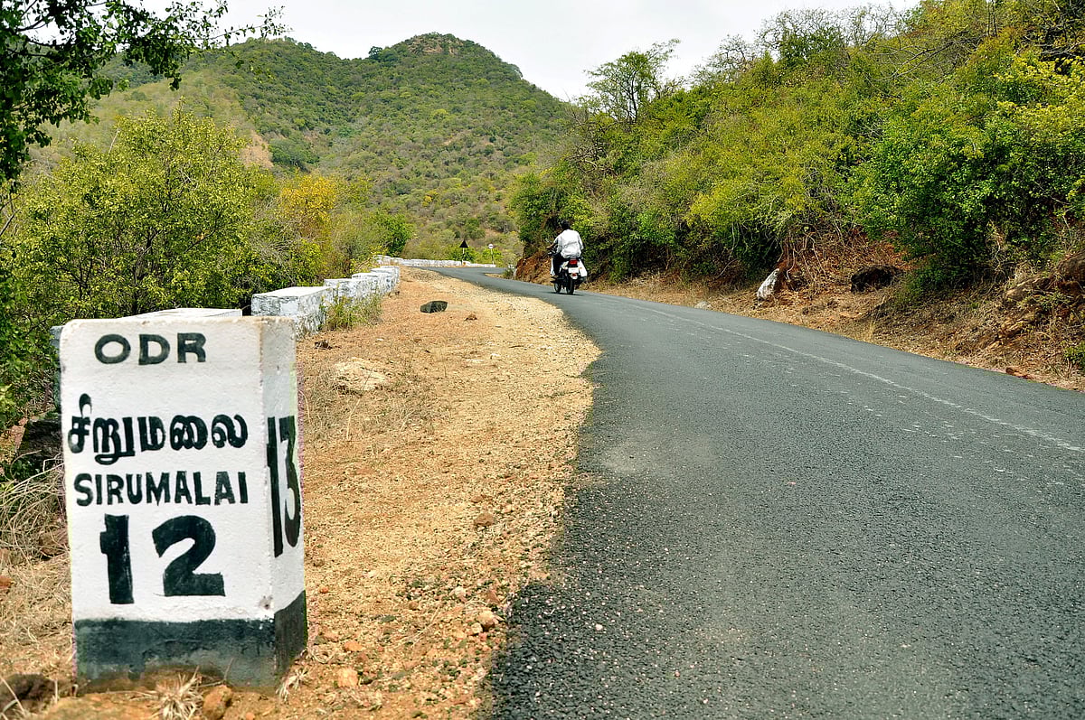 சிறுமலை: புதருக்குள் ஆண் சடலம்; அருகே கிடந்த பொருள் வெடித்ததில் போலீஸார் காயம்; நடந்தது என்ன?