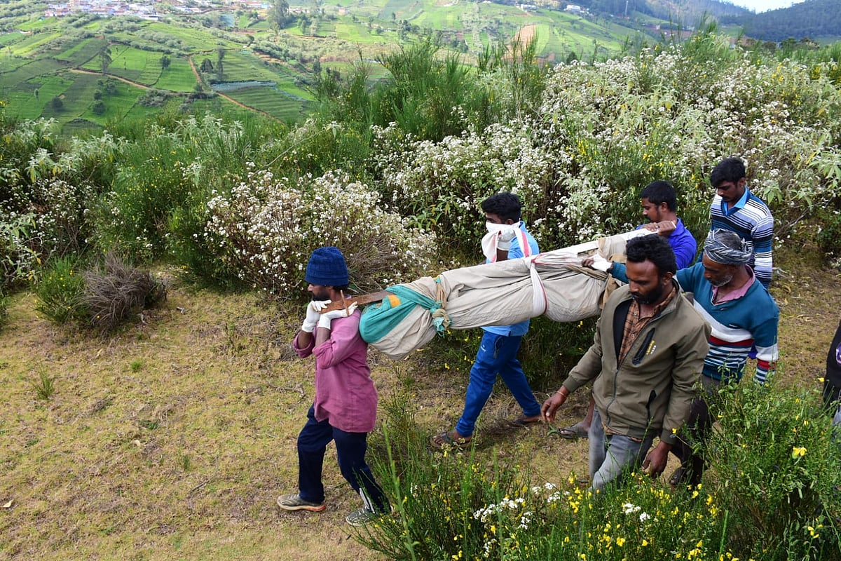 Ooty: ``குதறிய நிலையில் பெண் சடலம்..'' - புலியா? சிறுத்தையா? குழப்பத்தில் வனத்துறை! என்ன நடந்தது?