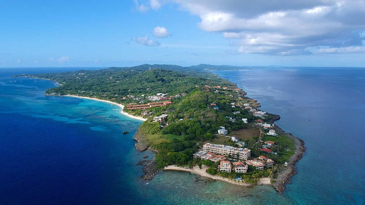 Roatan Island: `மரணத்தை தடுக்க ஊசி' உலக பணக்காரர்களை ஈர்க்கும் மர்ம தீவின் பின்னணி என்ன?