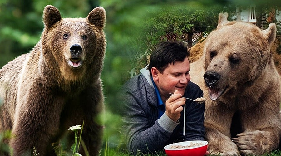 Bear Tales: இரண்டு கரடிகளின் உண்மைக்கதை... ஒன்றின் பெயர் ஸ்டீபன்; இன்னொன்றின் பெயர்?  | True Story