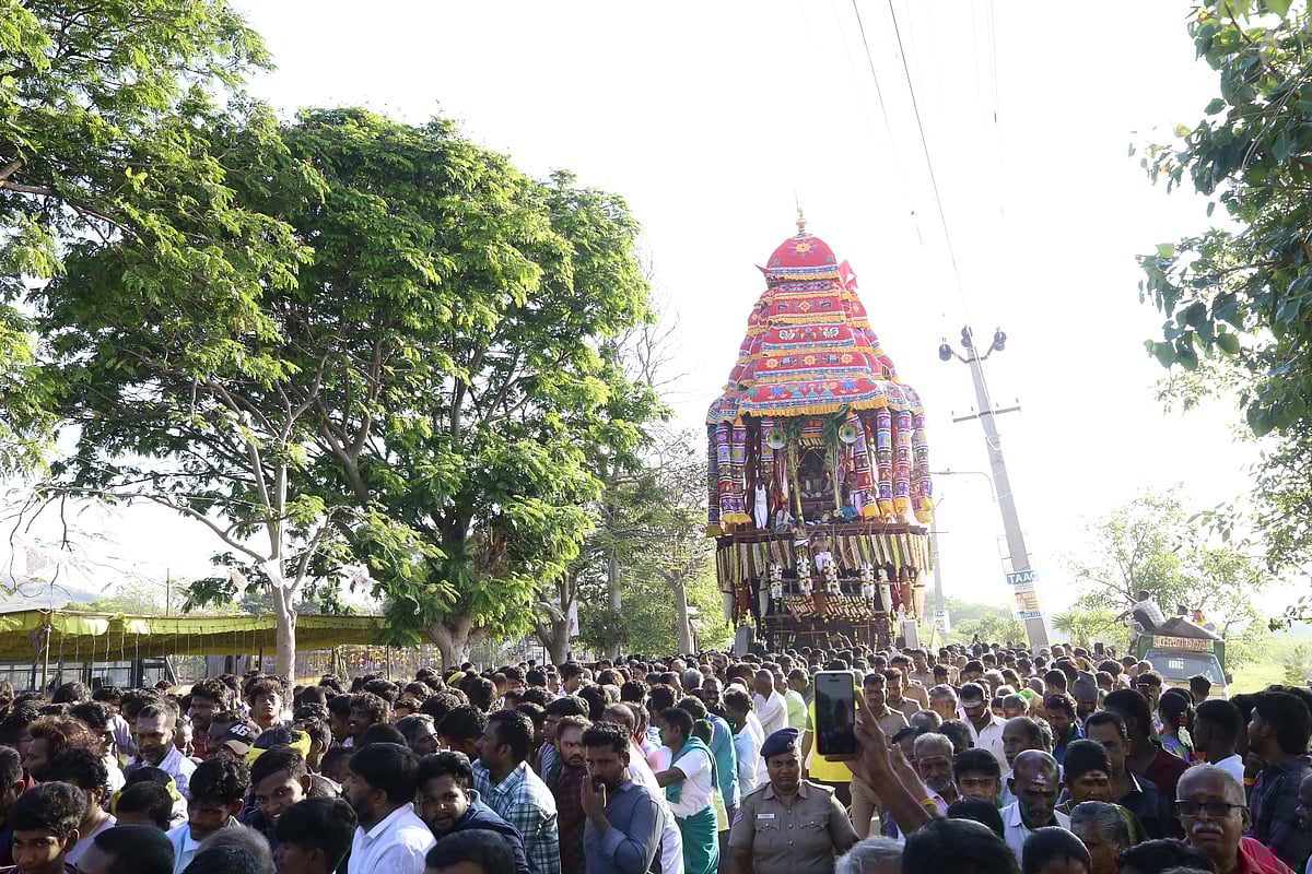 திருப்பரங்குன்றம் பங்குனி பெருவிழா தேரோட்டம்; வடம் பிடித்து இழுத்த பக்தர்கள் | Photo Album