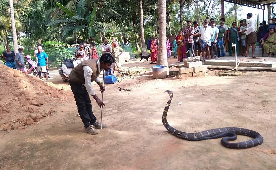 கோவை: 3 நாள்கள்; 30 விஷமுறிவு ஊசிகள் போட்டும் பாம்பு பிடி வீரர் சந்தோஷை காப்பாற்ற முடியவில்லை.. ஏன்?