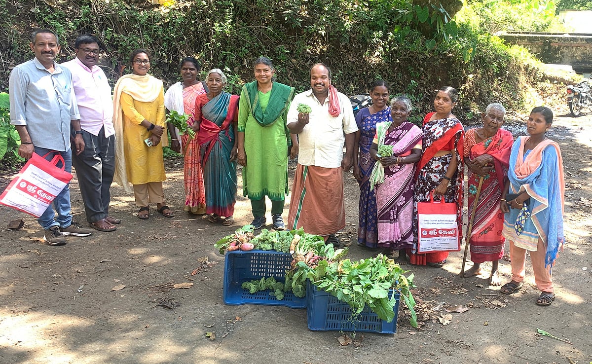 ஊட்டி: தரிசு நிலம் டு ஆர்கானிக் கூட்டு வேளாண்மைத் தோட்டம்; அசத்தும் ஆனைப்பள்ளம் பழங்குடிகள்!