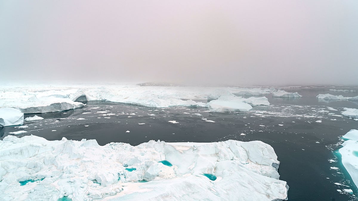 Greenland: தொடர்ந்து 28 ஆண்டுகளாக உருகும் பனிப்பாறைகள் - என்னவாகும்  கிரீன்லாந்து?