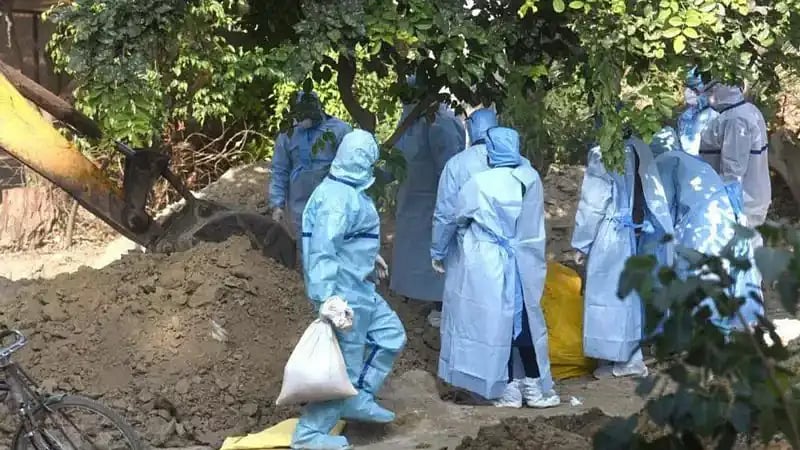 ஆந்திரா: `பறவைக் காய்ச்சல் பாதிப்பு' - சமைக்காத கோழிக்கறியை சாப்பிட்ட 2 வயது சிறுமி உயிரிழப்பு