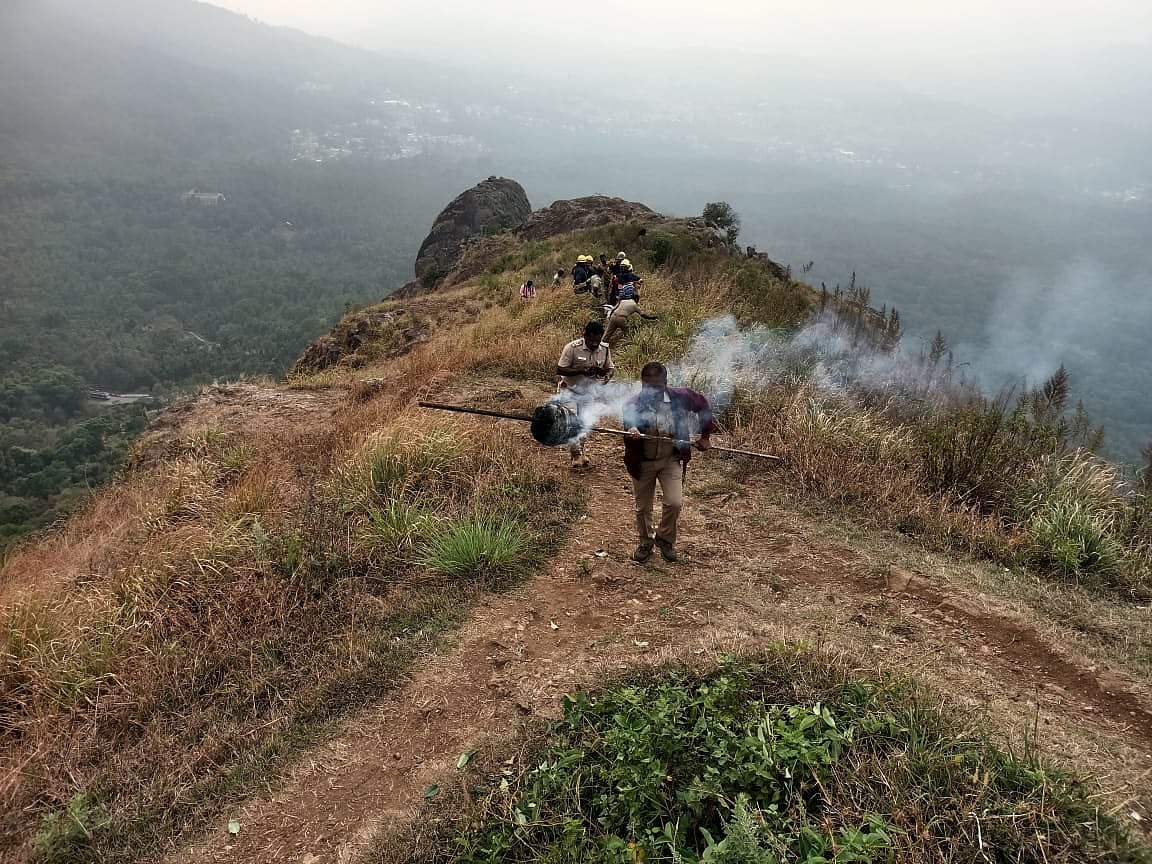 தேன் கூட்டில் கல்லெறிந்த இளைஞர்கள்; காட்டில் அத்துமீறியதால் பரிதாபமாக பறிபோன உயிர் - என்ன நடந்தது?