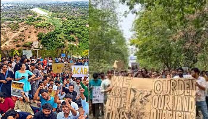 Kancha Gachibowli: காடழிப்பில் இறங்கிய தெலங்கானா அரசு; வெகுண்ட மாணவர்கள்- தடை விதித்த நீதிமன்றம்!