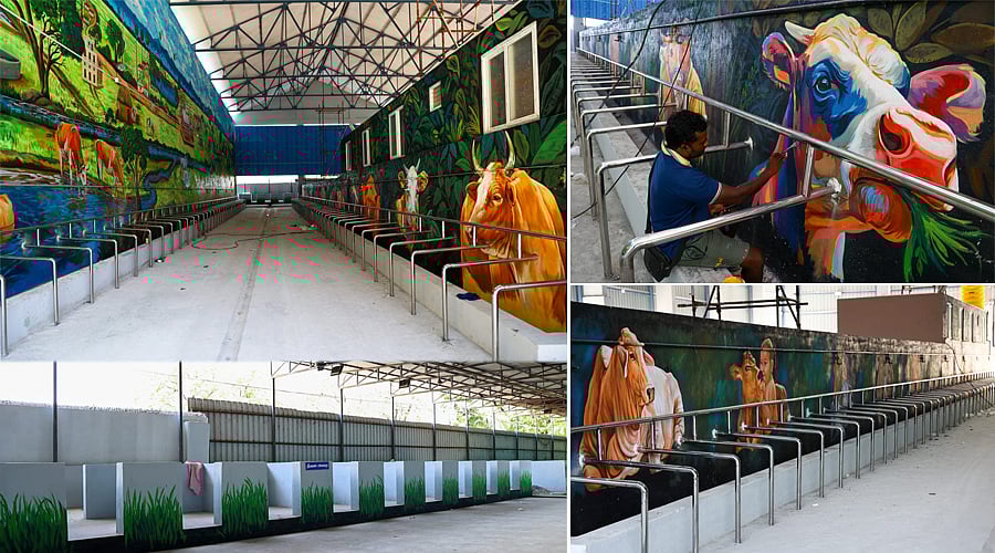 சென்னை: சாலைகளில் திரியும் மாடுகள் இங்கு பராமரிக்கப்படும்!மூலக்கொத்தளத்தில் தயாராகும் மாட்டு கொட்டகை